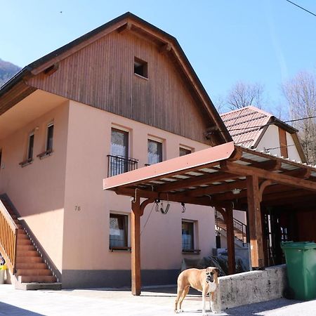 Apartma Na Vasi Daire Zaga Dış mekan fotoğraf