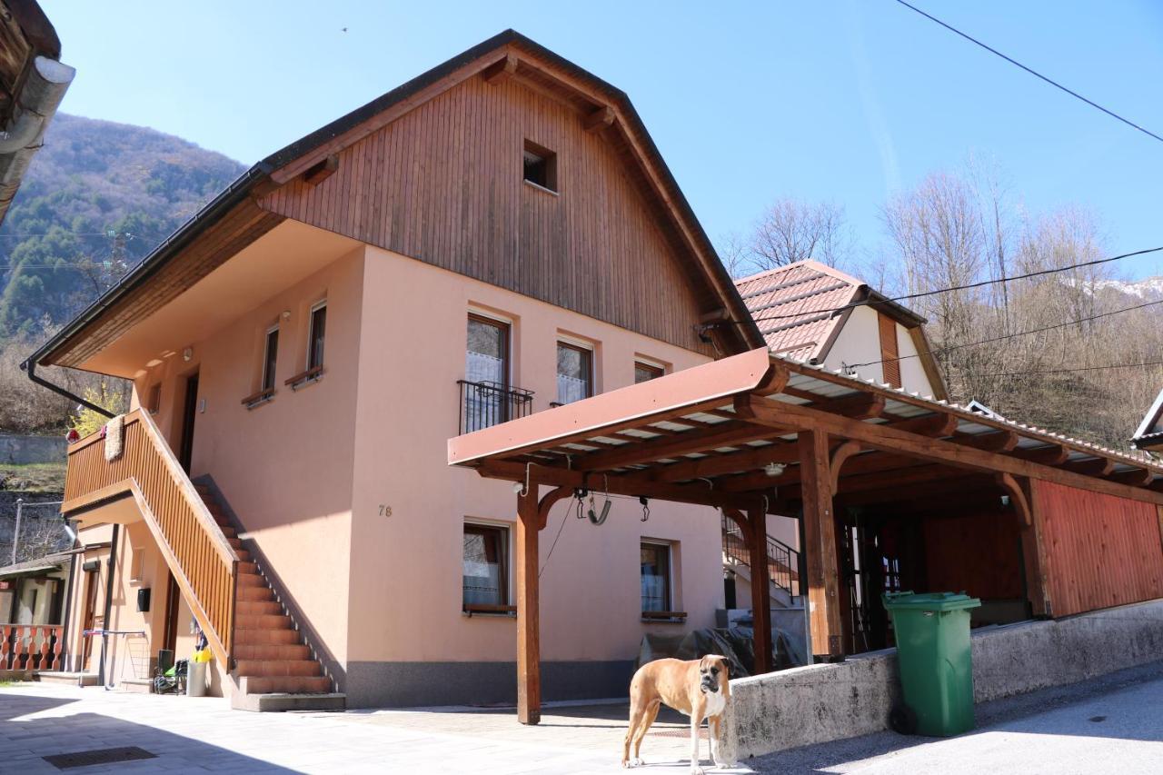 Apartma Na Vasi Daire Zaga Dış mekan fotoğraf